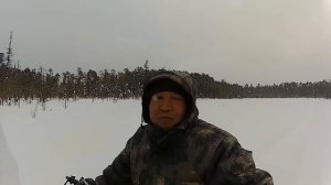 Снегоход Буран по глубокому снегу. Буран по густому лесу. Короткий Буран. Жесть.