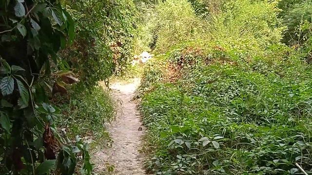 Дикие места. Отдых у реки. смотреть онлайн