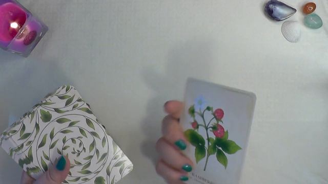 14 NEW decks for SUMMER. Tarot 6 oracle decks. смотреть онлайн