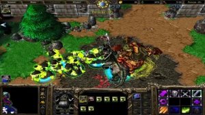 ЭКСКЛЮЗИВНАЯ КАМПАНИЯ! - «ДРУГАЯ СТОРОНА» - НА РУИНАХ ЛОРДЕРОНА! - Warcraft 3