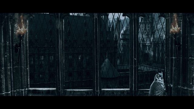 ГЛАВА 24. ШКОЛА ЦИНИЗМА. ОЗВУЧКА ФАНФИКА. ДРАМИОНА/DRAMIONE  #драмиона #dramione