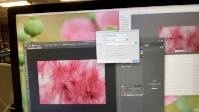 Photoshop For Scale Bar Tutorial
