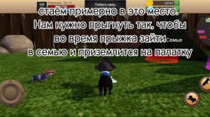 3 бага в игре Cat Simulator Animal Life, а так же новый ник