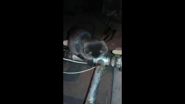 Sursa centrala termica смотреть онлайн