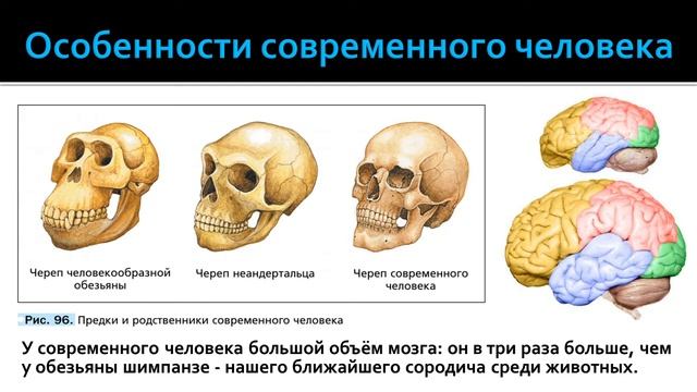 Биология 5 класс. Параграф 24 смотреть онлайн