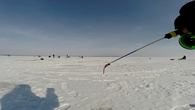 Как поймать пассивного судака зимой? Простая и уловистая приманка на хищника. Догонялка на судака смотреть онлайн