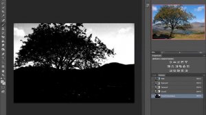 работа с каналами, как заменить фон на сложной фотографии фотошоп cs6