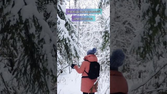 5 вещей, которые нужно сделать зимой! Живые звуки зимнего леса смотреть онлайн