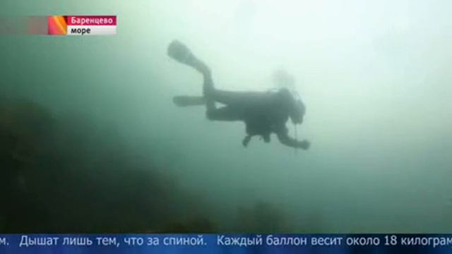 Рекорд погружения в Баренцевом море установили российские аквалангисты смотреть онлайн