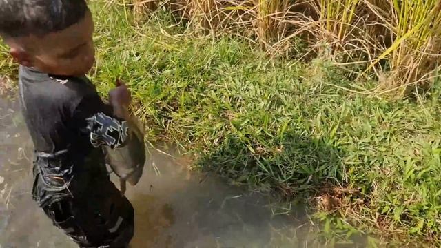 Amazing Traditional Boy Fish Catching By Hand in Water | Amazing Hand Fishing Video #Fish смотреть онлайн