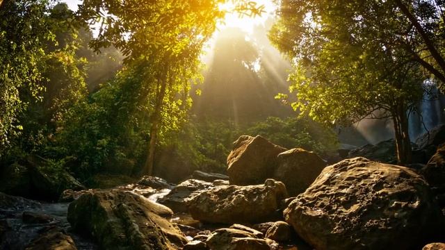 Asmr медитация, водопад - природный источник здоровья. Вылечи себя сам! Слушать.. смотреть онлайн