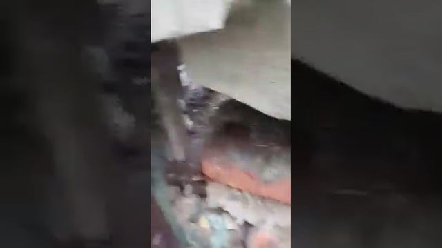 Жительнице Саратова разрушили фундамент дома и подбросили щенка смотреть онлайн