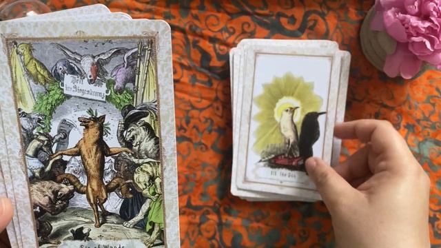 #TopTenCuriosityDecks VR to Candy Soul and Soil смотреть онлайн