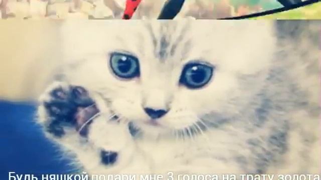 :3Будь няшкой,подари 3 голоса на трату золота:3 (ссылка на мою страницу вк в описании) смотреть онлайн