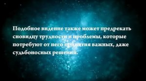 Что означают сны, связанные с волком - положительные и отрицательные значения