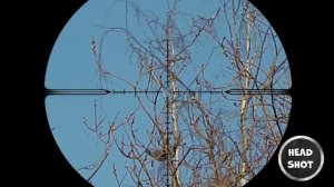 Охота на лесную ворону. 140 + метров. На Крузаке в болотину. Кроухантинг 2021 с пневматикой.