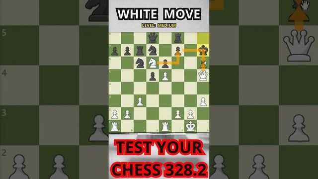 Test Your Chess 328.2 #chess #chesss #puzzle смотреть онлайн