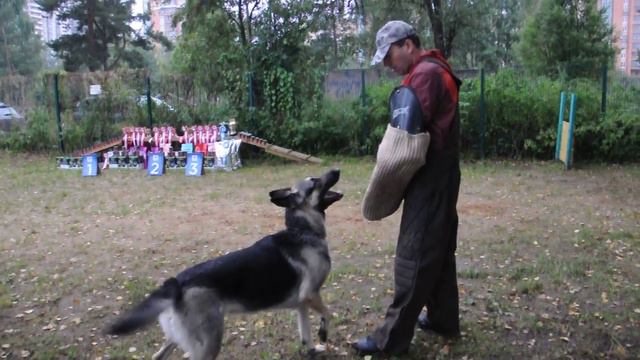 ПРК Рашель Ютта Жэ Тэм 10.09.2017 смотреть онлайн