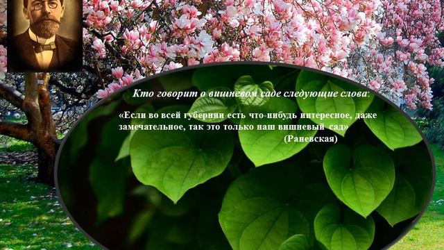 Викторина Вишневый сад смотреть онлайн