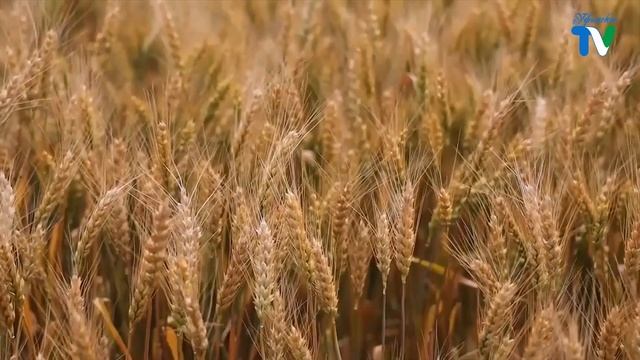 "УФИМСКОЕ ТВ" НОВОСТИ 04.09.2022 смотреть онлайн
