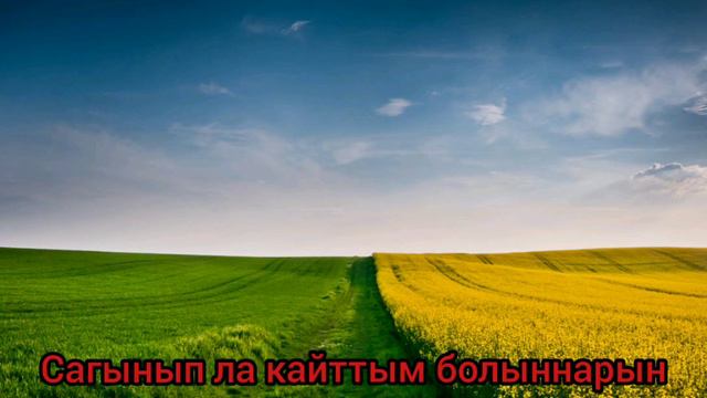 Ильмира Шайдуллина - Кайту(Караоке под плюс) смотреть онлайн