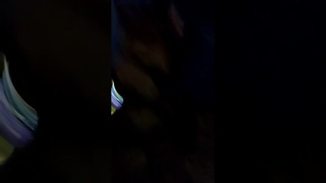 Ночной спуск с Гор. Карпаты, Татры, озеро Морське око, высокогорье. #Family Frenzy смотреть онлайн