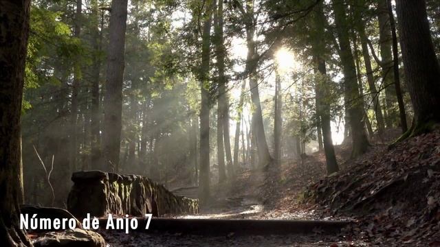 Número Do Anjo 7 ✨ - O Que Significa Ver Esse Número Com Frequência? Significando 7?