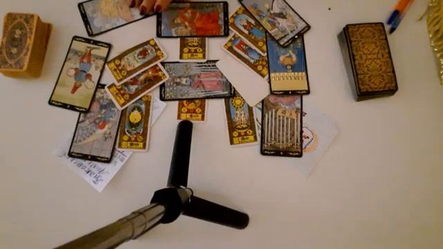 #тайган, Летняя ночь с Тайганом😆 смотреть онлайн