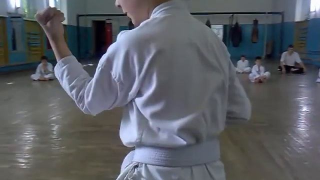 Тэйкиоку ката сонно сан 9 кю.mp4 смотреть онлайн