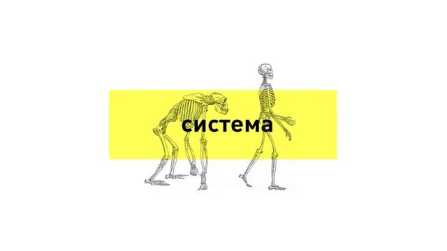 Как темные времена сделали нас сплоченнее | Олег Баринбойм | Prosmotr смотреть онлайн