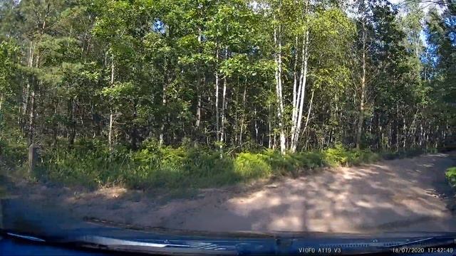 Беларусь лесная дорога. Forest road in Belarus. Scenic Forest Drive. Поворот с Р-23 к ст Полёт-Плюс смотреть онлайн