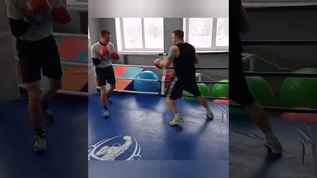Скиба Евгений спарринг смотреть онлайн