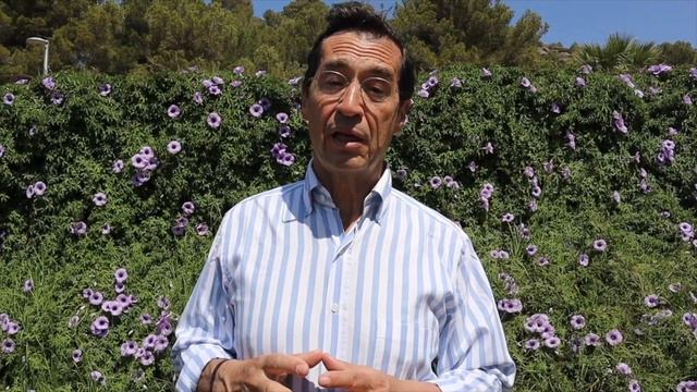 El proceso de duelo | Mario Alonso Puig смотреть онлайн
