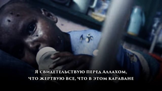 «Сердце разрывается, когда видишь этих несчастных!» смотреть онлайн