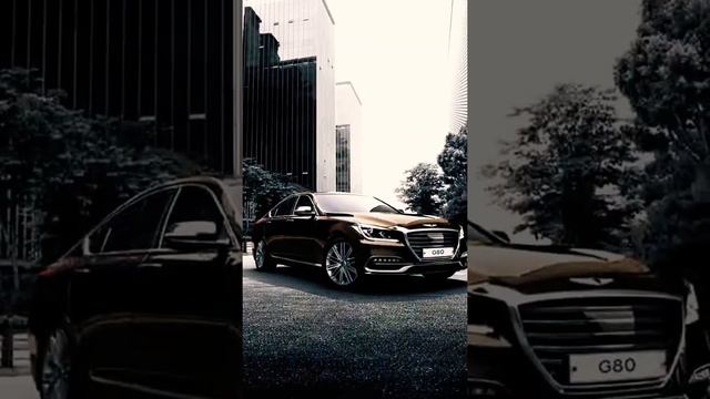применяемость 225/55R17 Arivo Ultra ARZ4 смотреть онлайн