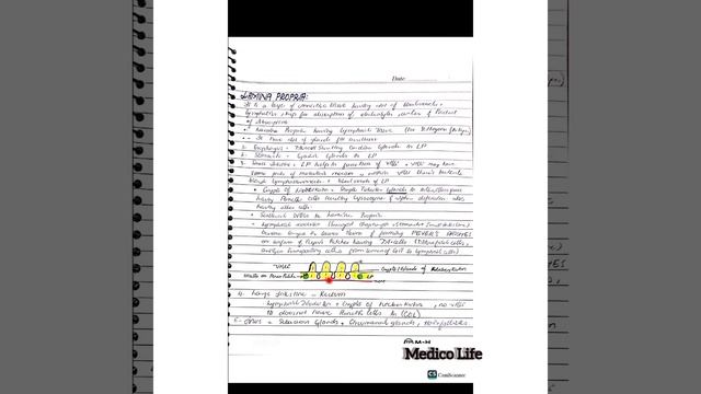 GIT BASIC HISTOLOGY| DR NAJEEB NOTES | смотреть онлайн