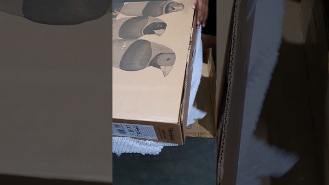 Unboxing monitor Led Lenovo L 241 - 30 66 BDkA c2ww 23,8" смотреть онлайн