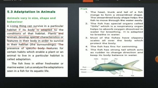 living world of animals / 6th std/ unit 5 science/ scert/ student legate/ rajasivanesh смотреть онлайн