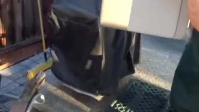 The Frog Whisperer: Part 2 смотреть онлайн