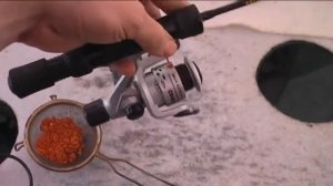 Удочка на рипуса