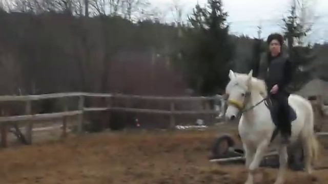 легкий голоп среди чайников на платцу смотреть онлайн