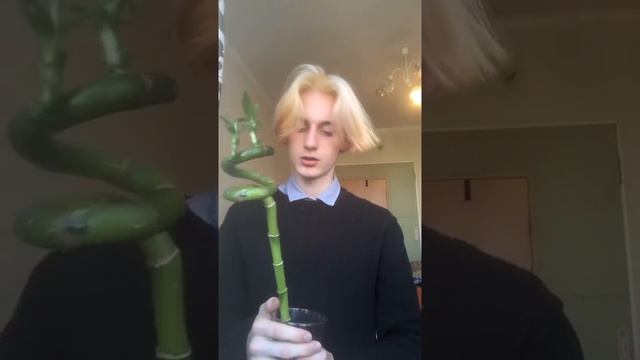 Мой самый любимы цветок... смотреть онлайн