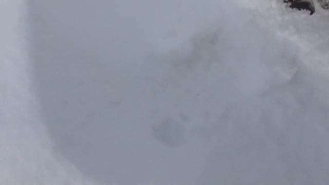 На #пасеке после снегопада. #Одесскаяобласть смотреть онлайн