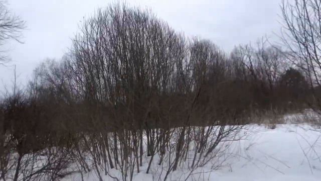 Нагонка русской гончей смотреть онлайн