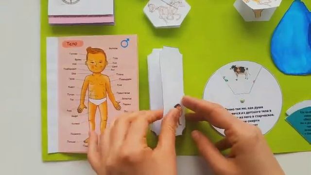 Lapbook "Твое тело это храм" смотреть онлайн