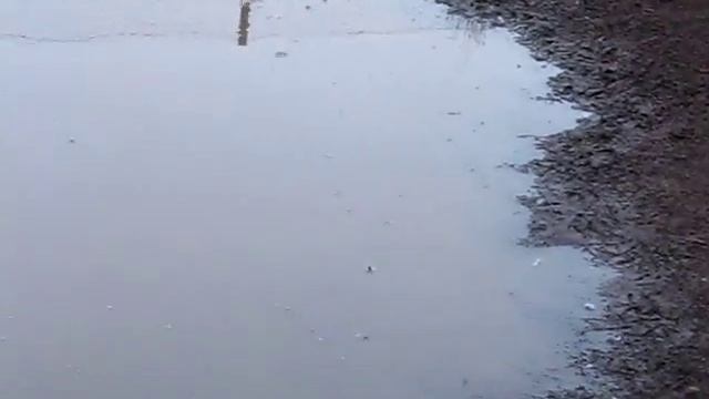 End Of Spring Chat смотреть онлайн