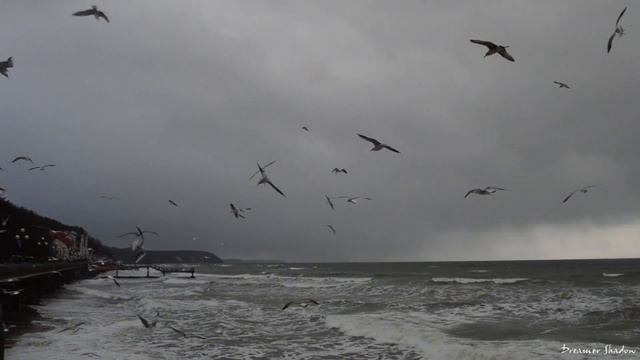 ~Холодное море ∞ Cold sea~ смотреть онлайн