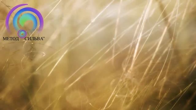 Медитация прощения. Упражнение по методу Сильва смотреть онлайн