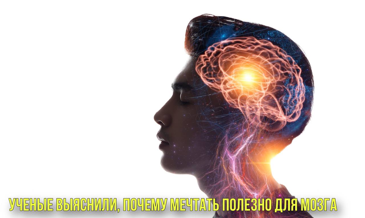 Ученые выяснили, почему мечтать полезно для мозга | Новости Первого смотреть онлайн