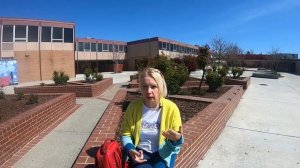 Школьное образование в США. Особенности американской системы школьного образования.